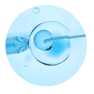 Intracytoplasmic Sperm Injection