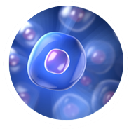 Donor Eggs