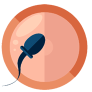 In Vitro Fertilization