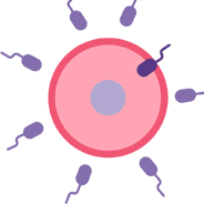 Surrogacy